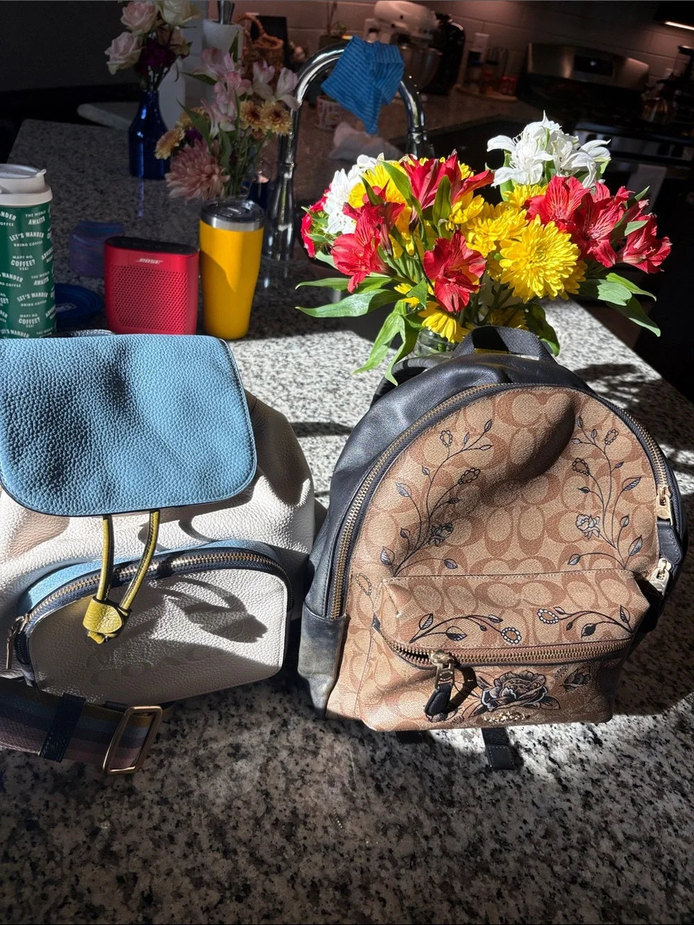 Coach Brown Signature Floral Mini Backpack with Gold Accents